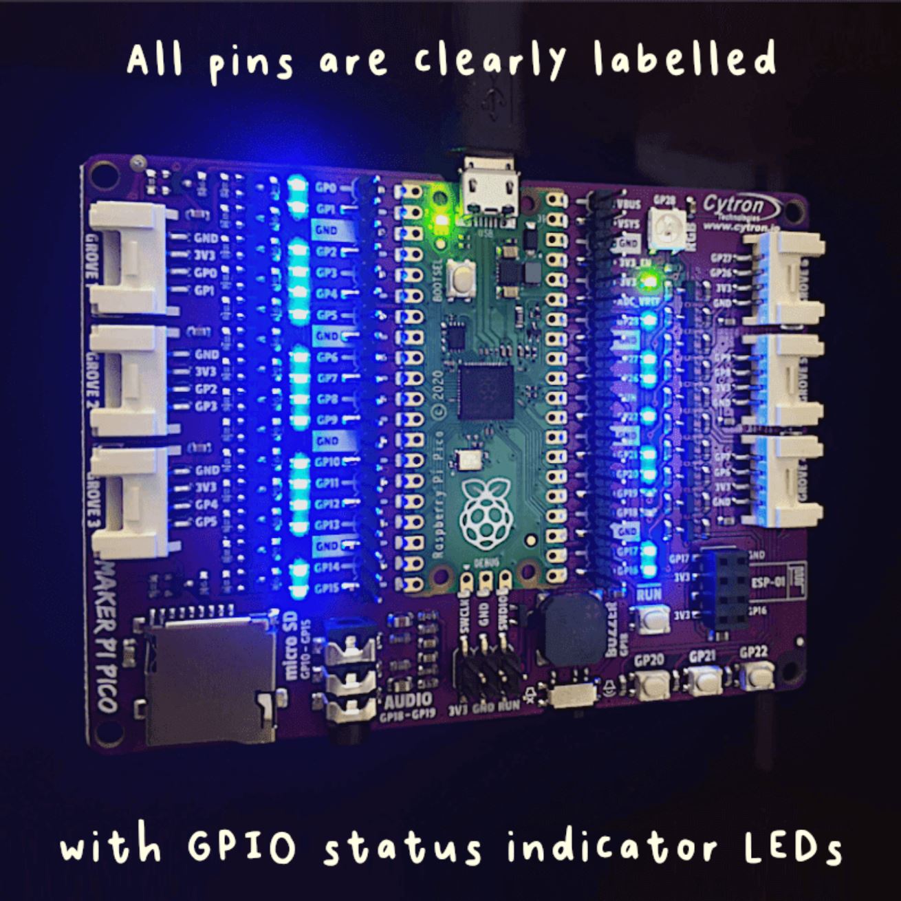 Maker Pi Pico